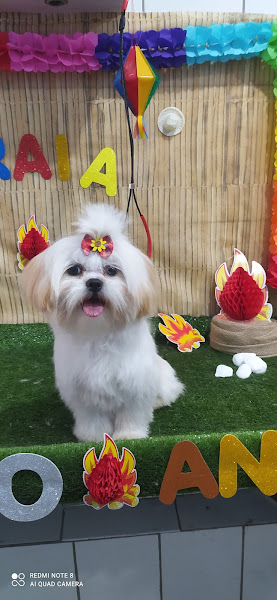 Foto 1 Pet shop conforto animal