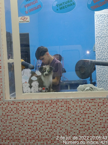 Foto 1 Pet Shop Bicho Lindo