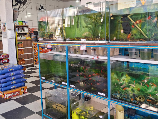 Foto 2 Pet Shop Cães & Cia