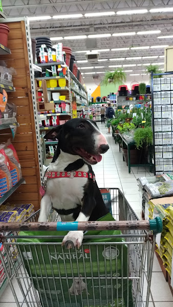 Foto 4 Cobasi Radial Leste