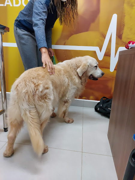 Foto 1 Petland Vila Andrade