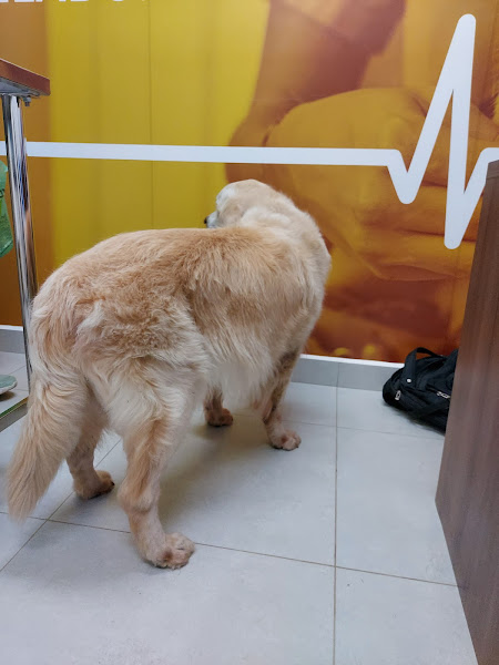 Foto 3 Petland Vila Andrade