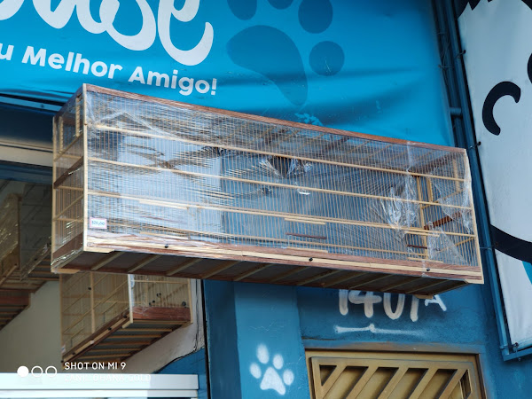 Foto 3 Pet House - Veterinária