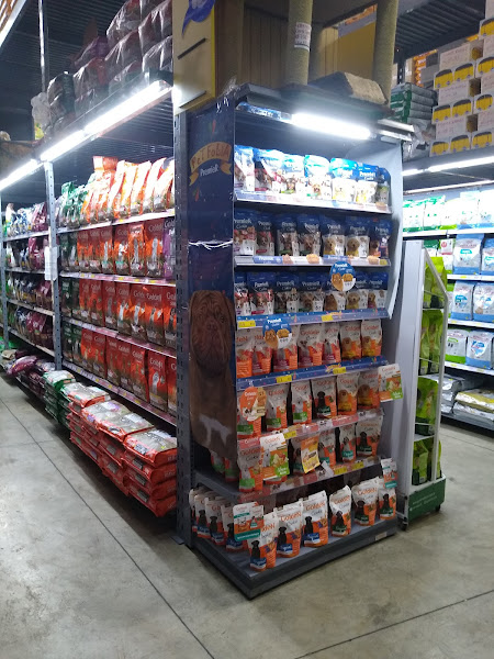 Foto 1 Dog''s Day - Vila Guairaca