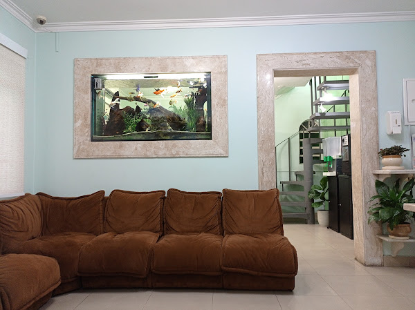 Foto 1 Odontologia Apeles Lemos - Dentista Zona Sul SP