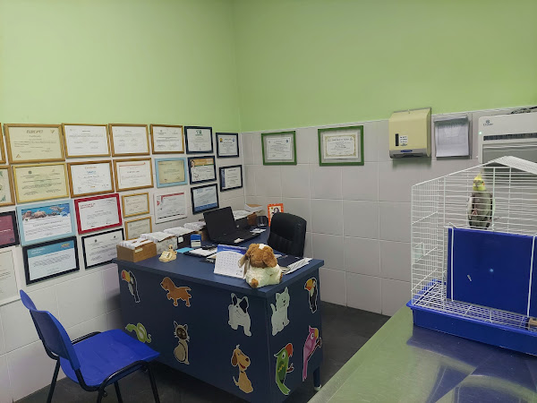 Foto 1 Veterinária Ornamental