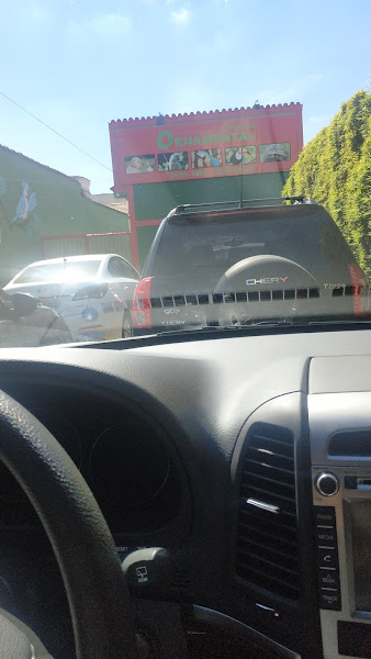 Foto 5 Veterinária Ornamental