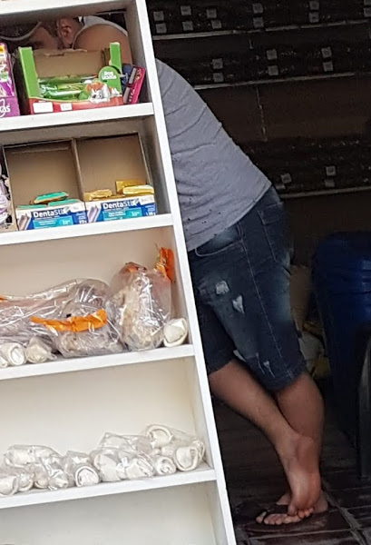 Foto 0 pet shop sharutinho