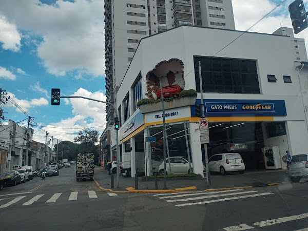 Foto 0 Bosch Car Service - Mecânica do Gato