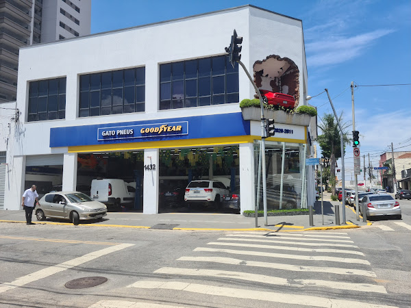 Foto 4 Bosch Car Service - Mecânica do Gato