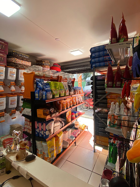 Foto 0 Consultório Veterinário