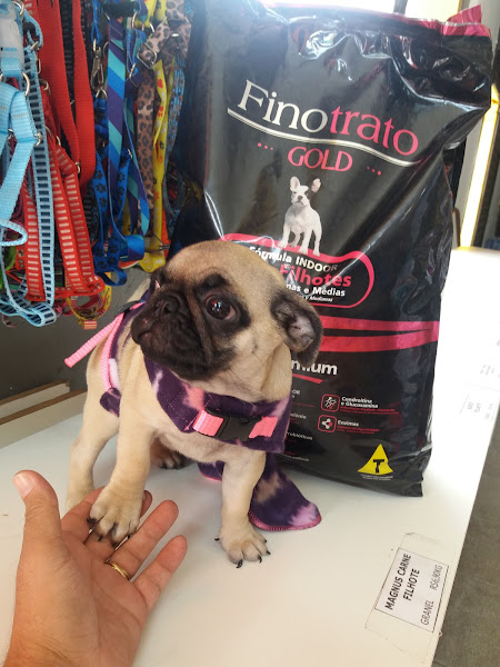 Foto 3 Rilla Rações Casa de Ração - Casa de racao em Belo Horizonte