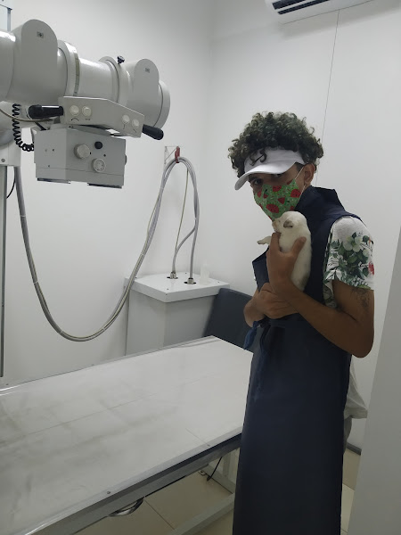 Foto 3 Animage Saúde de Estimação