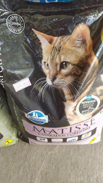 Foto 2 Catita Rações