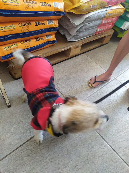 Foto 3 Catita Rações