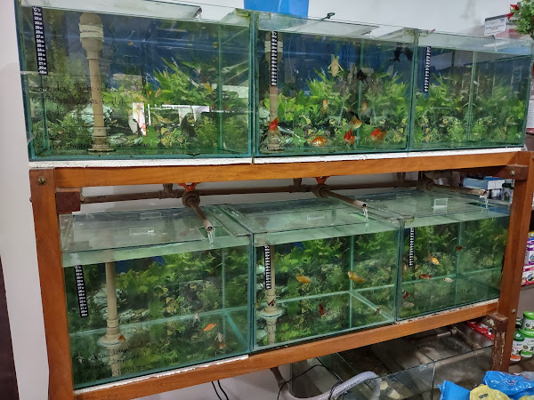 Foto 2 Mundo Animal - Rações e Acessórios