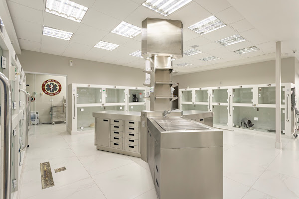 Foto 3 Animal Clinic Batel - Hospital Veterinário 24h