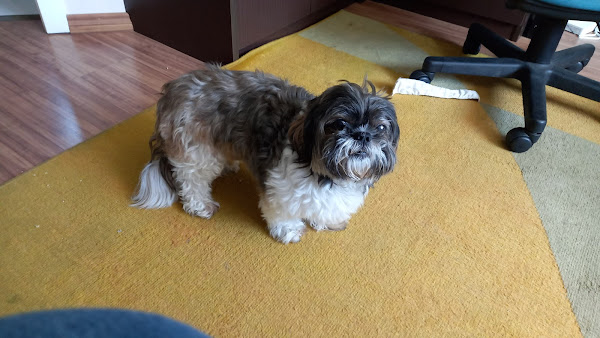 Foto 0 Euzira Maria Louro