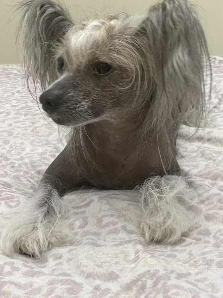 Foto 1 Euzira Maria Louro