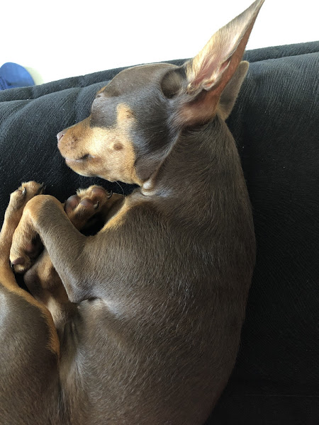 Foto 2 Euzira Maria Louro