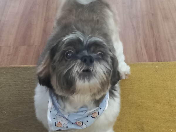 Foto 3 Euzira Maria Louro