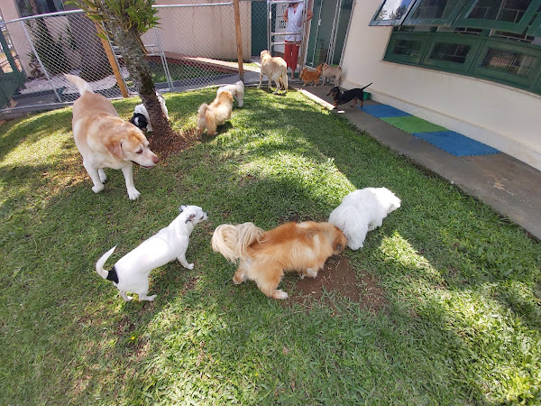 Foto 2 Hora Pet Shop