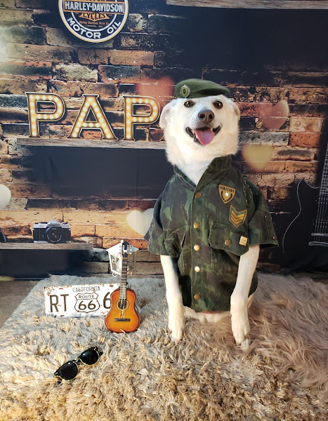 Foto 2 Pet Shop Mon Petit