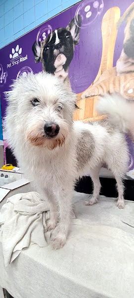 Foto 1 Pet Shop Rissi