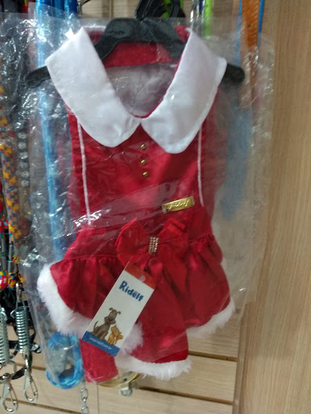 Foto 3 Pet Health Torres