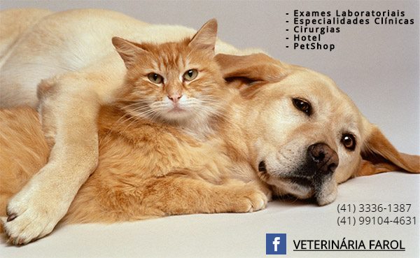 Foto 0 Clínica Veterinária Farol