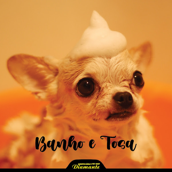 Foto 1 Agropecuária & Pet Shop Diamante