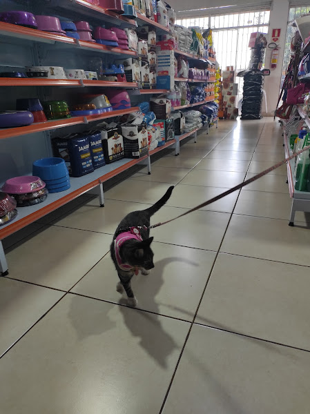 Foto 1 Pet Shop Toca do Bicho - Vila Operária