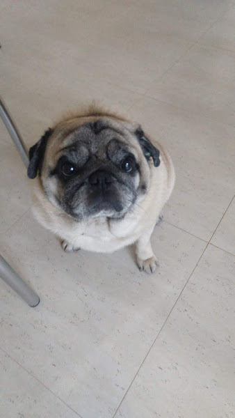 Foto 0 Farmácia Santa Mariana - Rede Aliança Farmacêutica