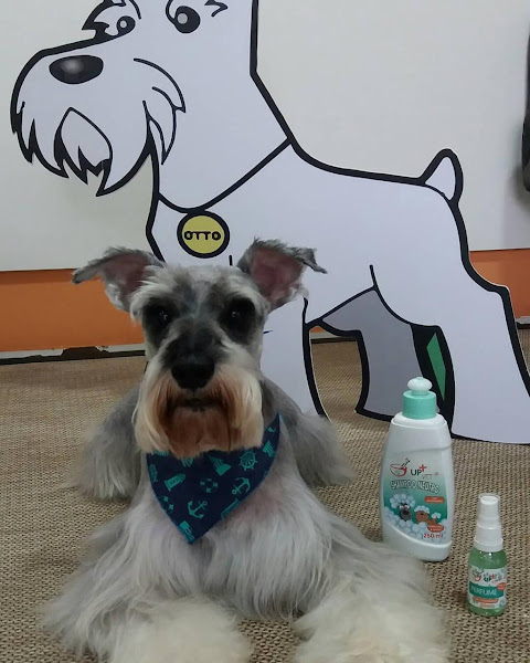 Foto 4 Upvet Manipulação Veterinária