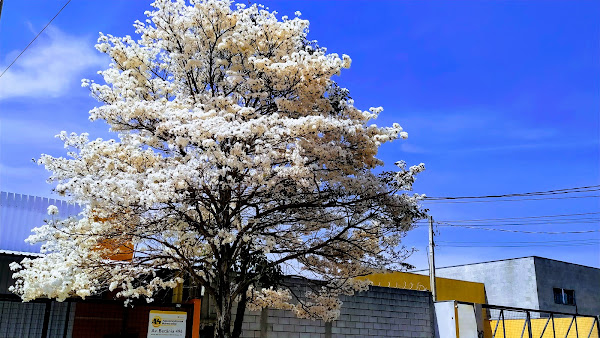 Foto 0 MP Retifica de Motores