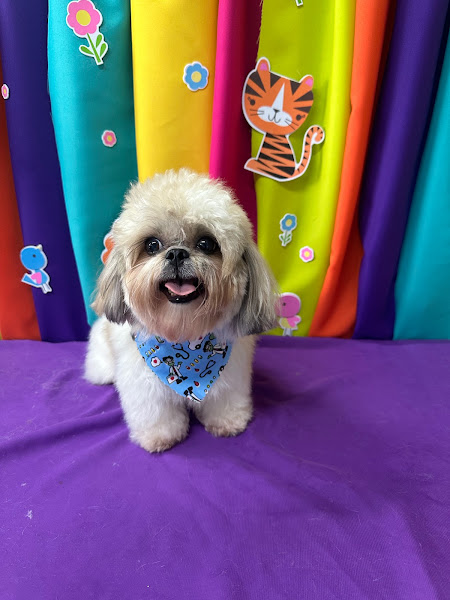 Foto 5 Life Pet Shop Sorocaba