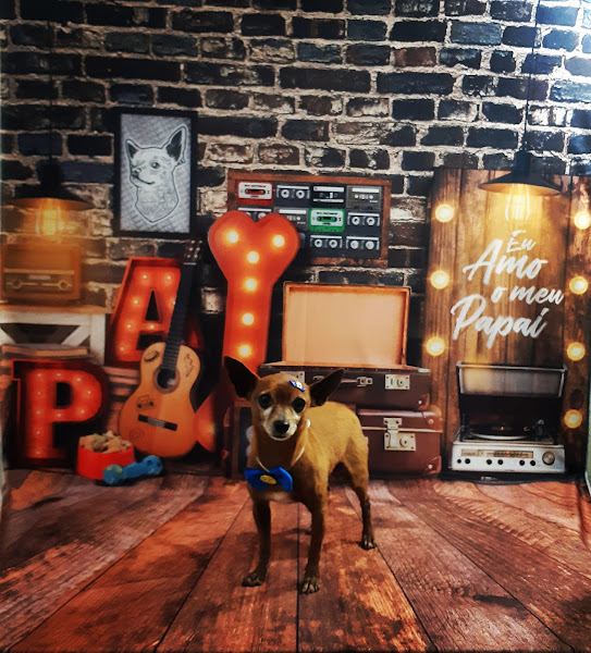 Foto 2 Pet Ração Sorocaba Banho e tosa Sorocaba Vó Coruja Pet Shop Sorocaba