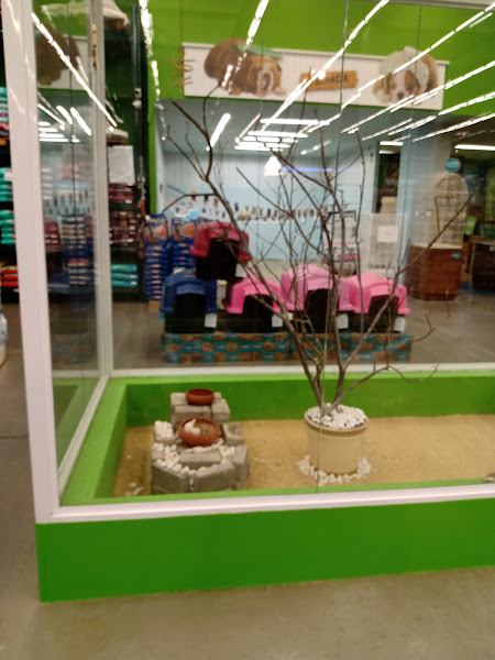 Foto 2 Cobasi Sorocaba Itavuvu