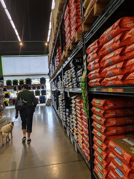 Foto 4 Cobasi Sorocaba Itavuvu