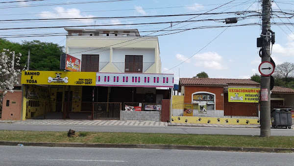 Foto 6 Pet Mendes - Chile