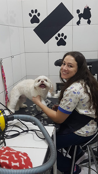 Foto 1 Espaço do Cão