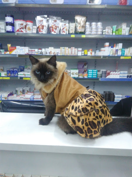 Foto 1 Agropecuária Lipi