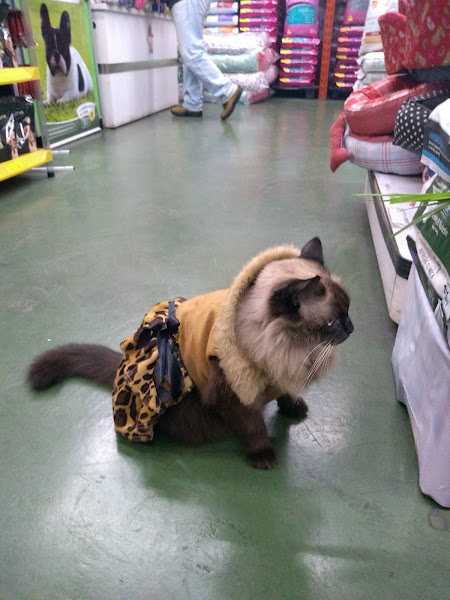 Foto 3 Agropecuária Lipi