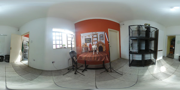 Foto 2 Quirino Pet Shop