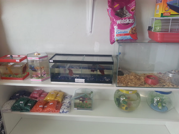 Foto 1 Pet Shop Fernandes