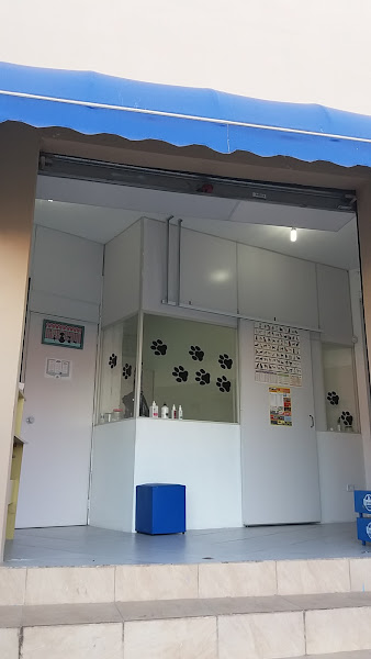 Foto 0 Banho e Tosa Espumacao