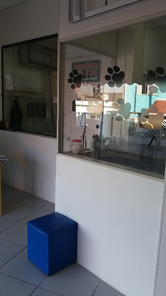 Foto 2 Banho e Tosa Espumacao