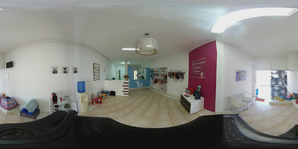 Foto 0 Mah Pets Banho, Tosa e Creche