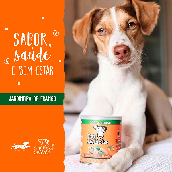 Foto 3 Loja Mutts Pet Culture