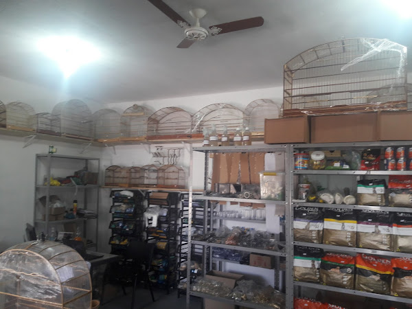 Foto 0 avicultura Cantinho Dos Passaros Pet